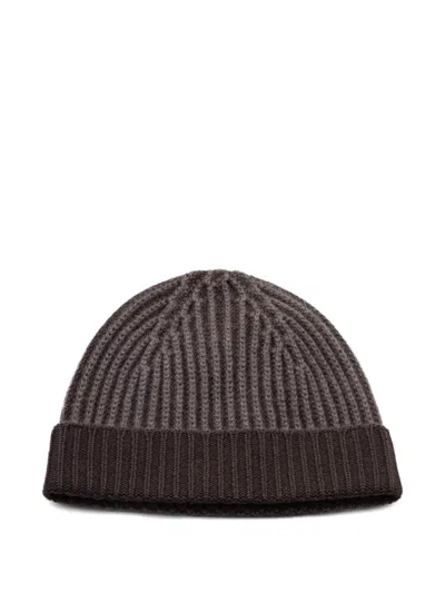 04651/trip In A Bag Ribbed Wool Beanie Hat In Brown