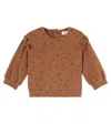 1+ In The Family Cotton-blend Sweater In Brown