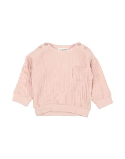 1+ In The Family Babies' 1 + In The Family Newborn Boy Sweatshirt Blush Size 3 Cotton, Elastane