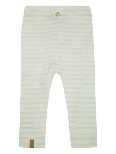 1+ In The Family Babies' Striped Ribbed Leggings In Green