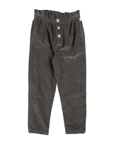 1+ In The Family Babies' 1 + In The Family Toddler Girl Pants Lead Size 4 Cotton, Elastane In Grey