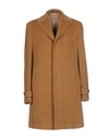 TAGLIATORE COATS,41727640FU 5