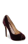 Badgley Mischka 'kiara' Crystal Back Open Toe Pump In Wine Velvet Fabric