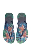 Havaianas 'slim Tropical' Flip Flop In Mint Green