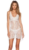 Hanky Panky Victoria Lace Chemise With G-string In Light Ivory