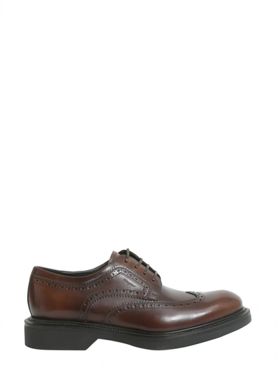 Ferragamo Donegal Lace Up Shoes In Brown
