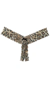 HANKY PANKY AFTER MIDNIGHT RACY LEOPARD THONG,HANK-WI492