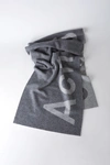 Acne Studios Toronty Logo Grey In Logo Scarf