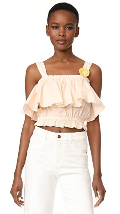 Samantha Pleet Canopy Blouse In Blush