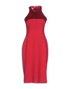 ANTONIO BERARDI Knee-length dress,34785405LE 2