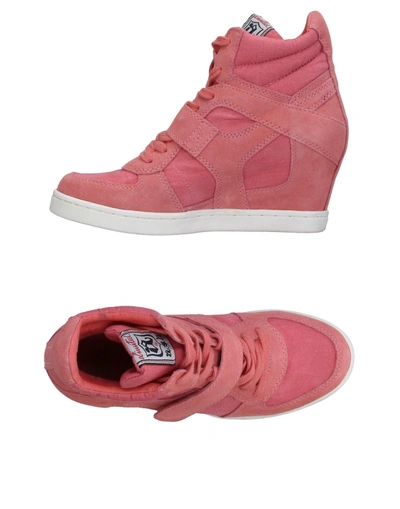 Ash Peach Suede And Canvas Wedge Heel High Top Trainers In Pastel Pink