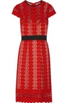 CATHERINE DEANE CATHERINE DEANE WOMAN ILISSA GUIPURE LACE DRESS RED,3074457345616946283