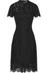 DIANE VON FURSTENBERG WOMAN ALMA CUTOUT CORDED LACE DRESS BLACK,US 1914431940991956
