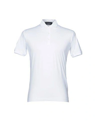 Dsquared2 Polo Shirts In White