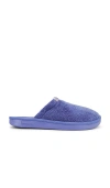 Brunch Essential Spring In Blue