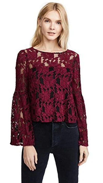 Cupcakes And Cashmere Florent Crewneck Bell-sleeve Lace Blouse In Beet Red