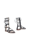 PINKO Sandals,11371265US 3