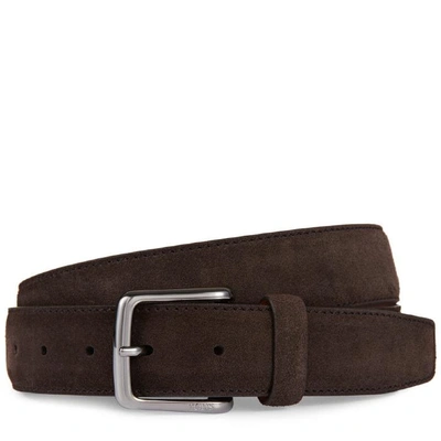 Tod's Belt In Suede In Brown