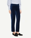 ANN TAYLOR THE PETITE ANKLE PANT IN VELVET,452401