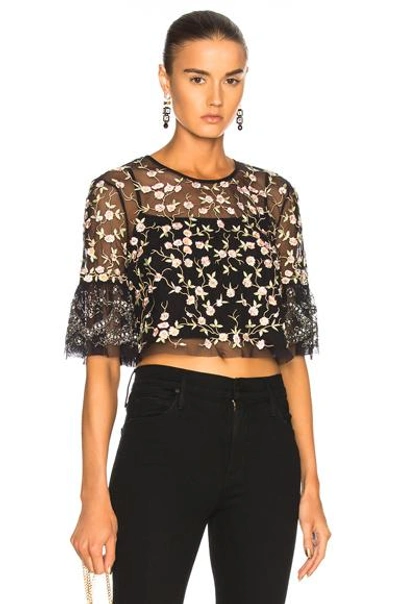 Needle & Thread Climbing Blossom Floral-embroidered Tulle Top In Black,floral