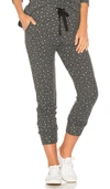 SUNDRY STAR JOGGERS,H9S 852