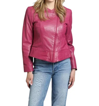 11 Uptown Cropped Collarless Lamb Leather Zip Up Jacket In Fuschia In Pink