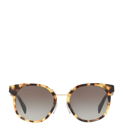 Prada Crazy Daises Square Sunglasses, 53mm In Havana/gray Gradient