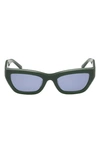 Abercrombie & Fitch 52mm Cat Eye Sunglasses In Neutral