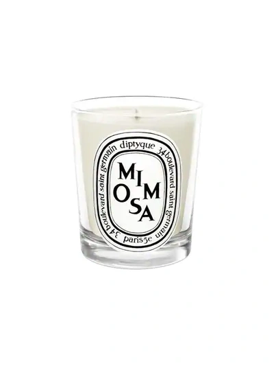 Diptyque Mimosa Scented Candle In White