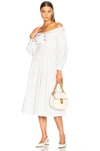 SANDY LIANG SANDY LIANG MARGE DRESS IN WHITE,STRIPES,D5