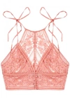 STELLA MCCARTNEY OPHELIA WHISTLING LEAVERS LACE SOFT-CUP BRA