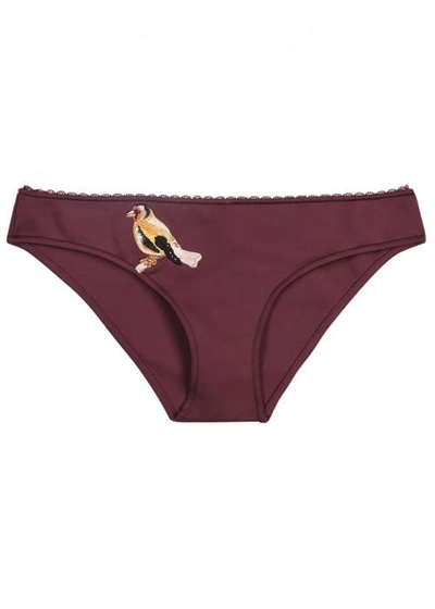 Stella Mccartney Woman Embroidered Neoprene Low-rise Bikini Briefs Merlot