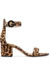 GIANVITO ROSSI Versilia 60 leopard-print calf hair sandals