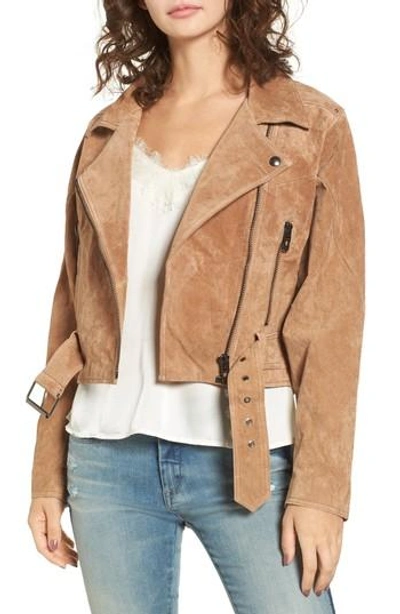 Blanknyc Dolman Sleeve Sueded Moto Jacket In Coffee Bean