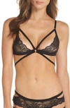 Honeydew Intimates Lucy Elastic & Lace Bra Black In Black