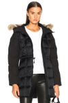 CANADA GOOSE CANADA GOOSE BEECHWOOD PARKA WITH COYOTE FUR IN BLACK,3201L