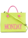 ALBERTA FERRETTI SMALL MONDAY TOTE,V7002800112562169