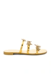 GIUSEPPE ZANOTTI NUVOROLL STAR SANDAL,E800044 76236