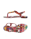 DOLCE & GABBANA Flip flops,11393071VG 8