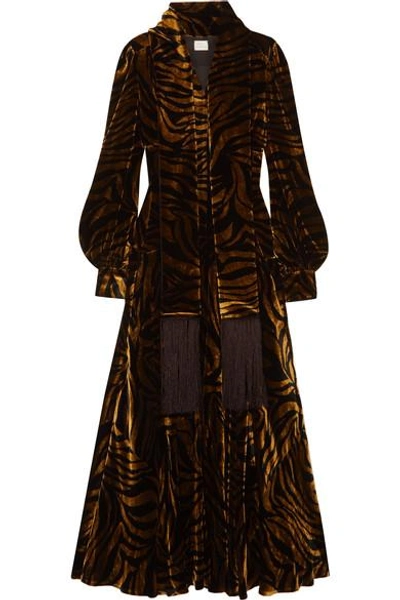 Hillier Bartley Plimpton Zebra-print Panelled Velvet Dress In Black