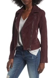 Blanknyc Suede Moto Jacket In Burgundy