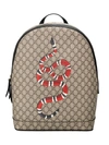 GUCCI KINGSNAKE PRINT GG SUPREME BACKPACK,4195849HWAT12598234