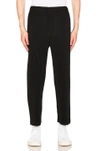 Issey Miyake Pleated Pants In Black