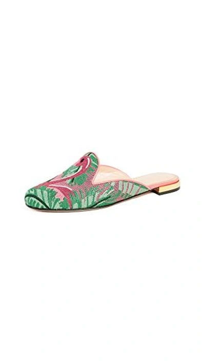 Charlotte Olympia Flamingo Embroidered Slipper Shoes In Multi