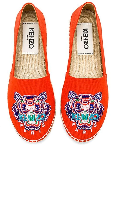 Kenzo 20毫米老虎刺绣纯棉帆布麻底便鞋 In Coral