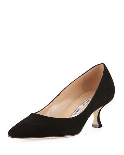 Manolo Blahnik Srila Suede Low-heel Pump In Black