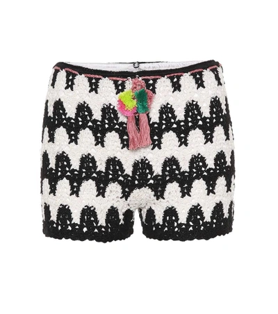 Anna Kosturova Zebra Crocheted Cotton Shorts In Black