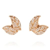 NADINE AYSOY PETITES FEUILLES GOLD EARRING STUDS,2659571