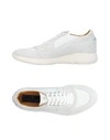 CESARE PACIOTTI 4US Sneakers,11274447RX 9