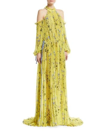 Self-portrait Cold-shoulder Printed Pleated Chiffon Maxi Dress In Yellow